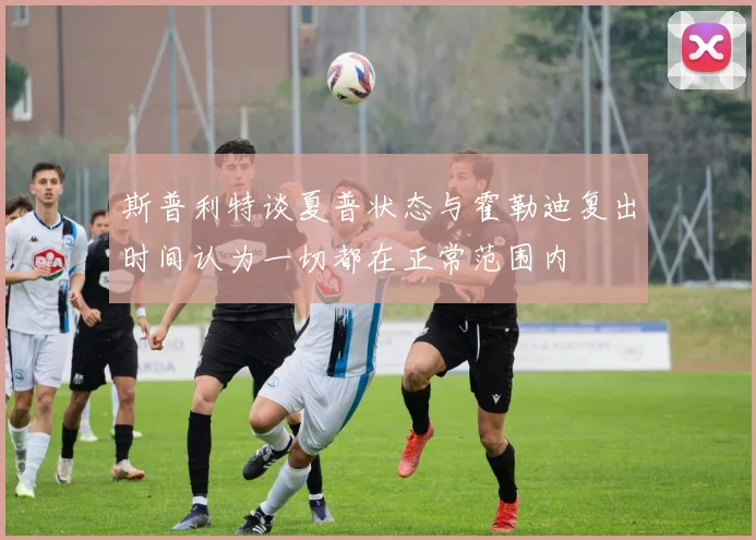 斯普利特谈夏普状态与霍勒迪复出时间认为一切都在正常范围内