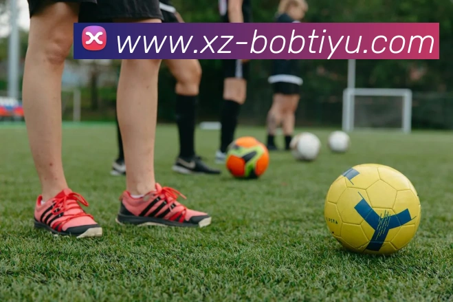 BOB体育APP 封面图